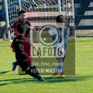 Fotografía NA-35-1 de (035) 2026-05-30 Newbery Argentino 2019
