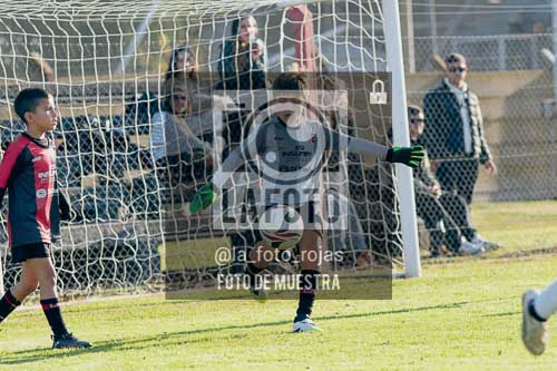 Fotografía NA-36 de (035) 2026-05-30 Newbery Argentino 2017