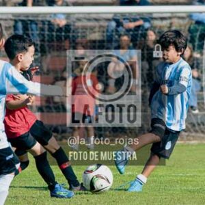 Fotografía NA-37-1 de (035) 2026-05-30 Newbery Argentino 2019