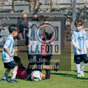 Fotografía NA-41-2 de (035) 2026-05-30 Newbery Argentino Inic