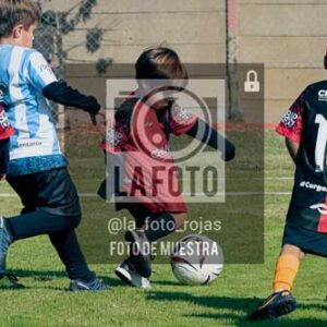 Fotografía NA-49-2 de (035) 2026-05-30 Newbery Argentino Inic