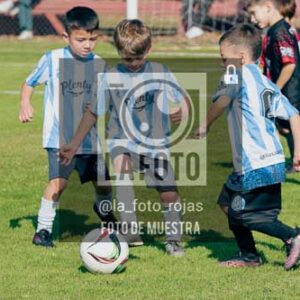 Fotografía NA-60-1 de (035) 2026-05-30 Newbery Argentino Inic