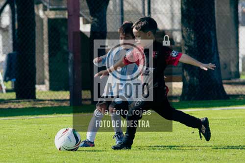 Fotografía NA-84-1 de (035) 2026-05-30 Newbery Argentino Inic