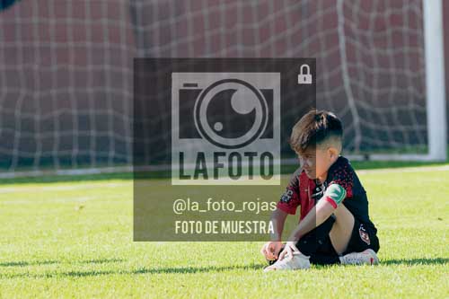 Fotografía NA-86-1 de (035) 2026-05-30 Newbery Argentino Inic