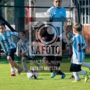Fotografía NA-89-1 de (035) 2026-05-30 Newbery Argentino Inic