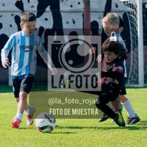 Fotografía NA-91-1 de (035) 2026-05-30 Newbery Argentino Inic