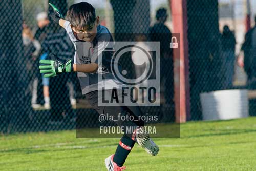 Fotografía NA-93 de (035) 2026-05-30 Newbery Argentino 2017