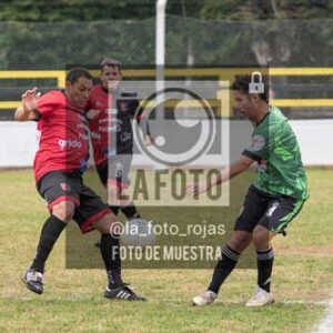 Fotografía NI-16 de (033) 2026-05-24 Newbery Indart