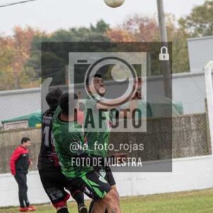 Fotografía NI-77 de (033) 2026-05-24 Newbery Indart