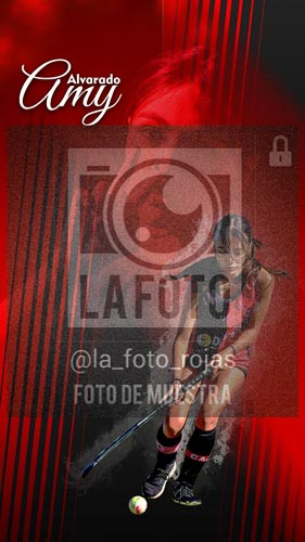 Fotografía 10 de flyes