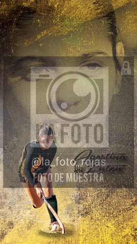 Fotografía 2 de flyes