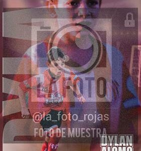 Fotografía 21 de flyes