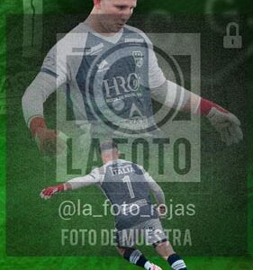 Fotografía 4 de flyes