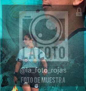 Fotografía 7-1 de flyes