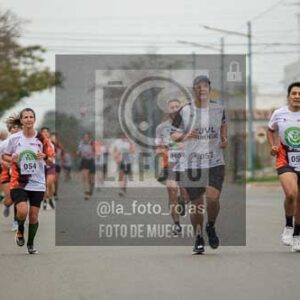 Fotografía B-17 de (041) 2026-05-7 CARRERA TECNICA