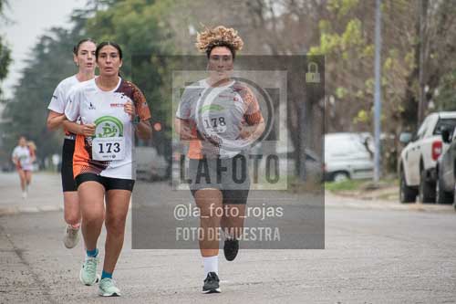Fotografía B-200 de (041) 2026-05-7 CARRERA TECNICA