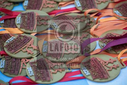 Fotografía C-38 de (041) 2026-05-7 CARRERA TECNICA