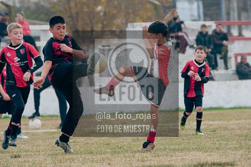 Fotografía JN-14 de (040) 2026-06-06 Juventud Newbery 2016