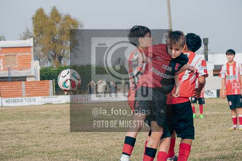 Fotografía JN-20-1 de (040) 2026-06-06 Juventud Newbery Sub13