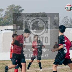 Fotografía JN-21-2 de (040) 2026-06-06 Juventud Newbery Sub13
