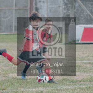 Fotografía JN-86 de (040) 2026-06-06 Juventud Newbery Sub12