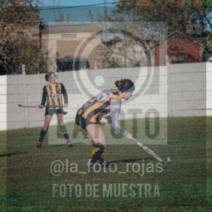 Fotografía LLN-1 de (043) 2026-06-14 Newbery La Loba