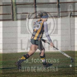 Fotografía LLN-10 de (043) 2026-06-14 Newbery La Loba