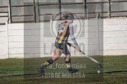 Fotografía LLN-10 de (043) 2026-06-14 Newbery La Loba