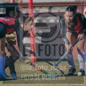 Fotografía LLN-103 de (043) 2026-06-14 Newbery La Loba