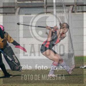 Fotografía LLN-104 de (043) 2026-06-14 Newbery La Loba