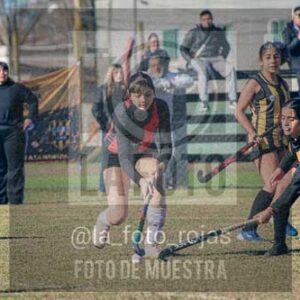 Fotografía LLN-108 de (043) 2026-06-14 Newbery La Loba