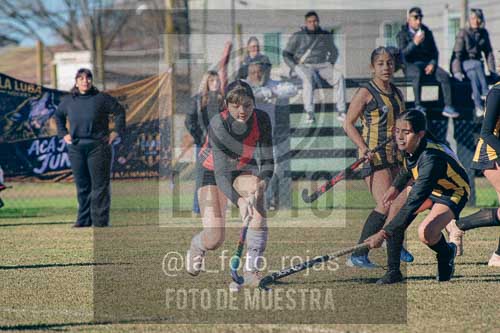 Fotografía LLN-108 de (043) 2026-06-14 Newbery La Loba
