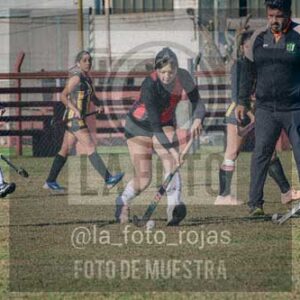 Fotografía LLN-109 de (043) 2026-06-14 Newbery La Loba