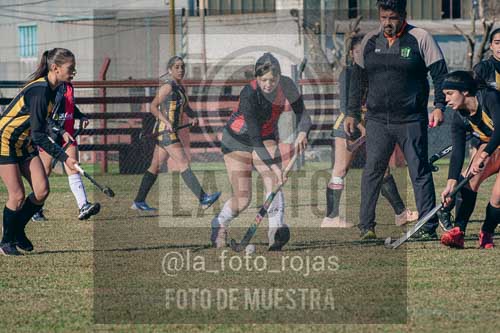 Fotografía LLN-109 de (043) 2026-06-14 Newbery La Loba