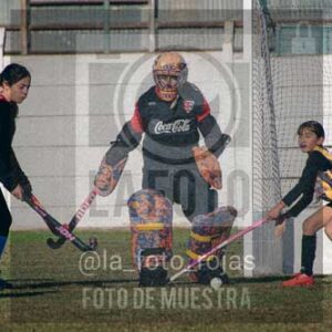 Fotografía LLN-11 de (043) 2026-06-14 Newbery La Loba