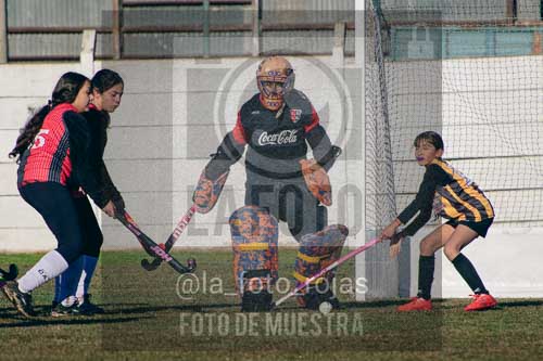 Fotografía LLN-11 de (043) 2026-06-14 Newbery La Loba