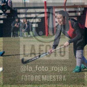 Fotografía LLN-114 de (043) 2026-06-14 Newbery La Loba