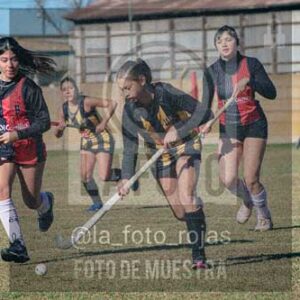 Fotografía LLN-116 de (043) 2026-06-14 Newbery La Loba
