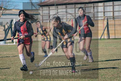 Fotografía LLN-116 de (043) 2026-06-14 Newbery La Loba