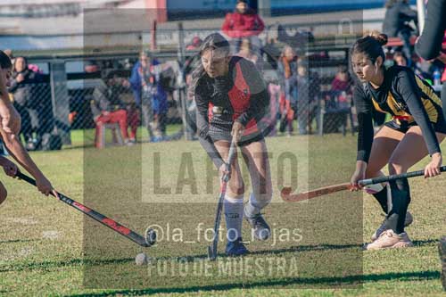 Fotografía LLN-118 de (043) 2026-06-14 Newbery La Loba