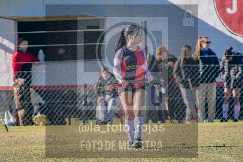 Fotografía LLN-125 de (043) 2026-06-14 Newbery La Loba