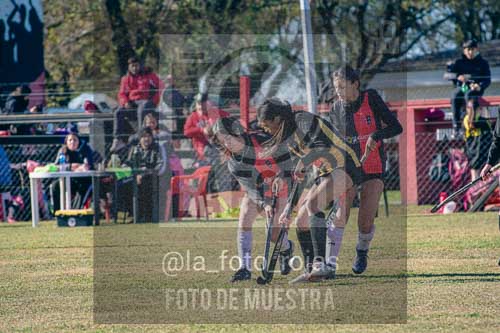 Fotografía LLN-129 de (043) 2026-06-14 Newbery La Loba