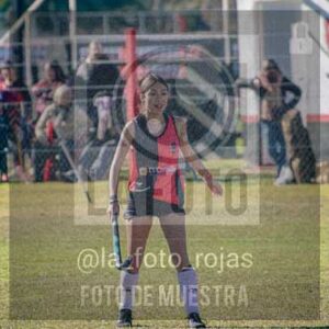 Fotografía LLN-133 de (043) 2026-06-14 Newbery La Loba