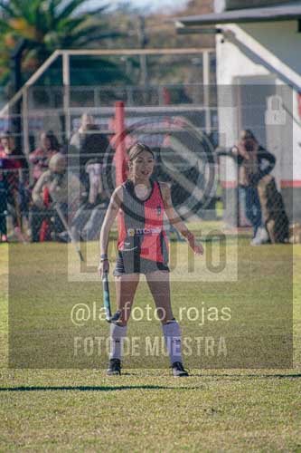 Fotografía LLN-133 de (043) 2026-06-14 Newbery La Loba