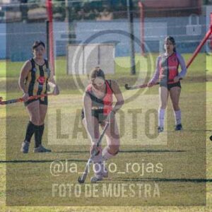 Fotografía LLN-134 de (043) 2026-06-14 Newbery La Loba
