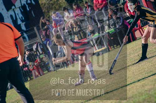 Fotografía LLN-139 de (043) 2026-06-14 Newbery La Loba