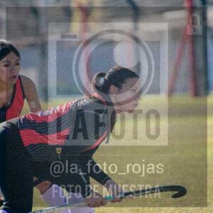 Fotografía LLN-142 de (043) 2026-06-14 Newbery La Loba