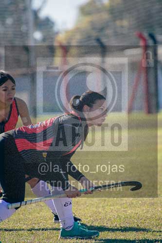 Fotografía LLN-142 de (043) 2026-06-14 Newbery La Loba