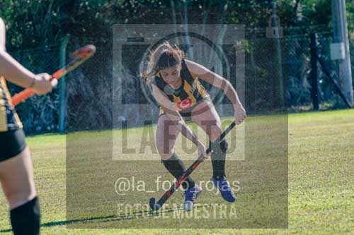 Fotografía LLN-150 de (043) 2026-06-14 Newbery La Loba