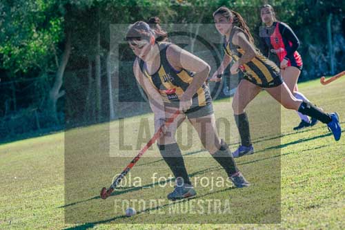 Fotografía LLN-152 de (043) 2026-06-14 Newbery La Loba